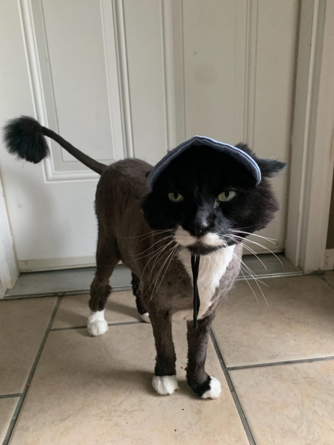 Customer photo review of Baseball Visor Hat