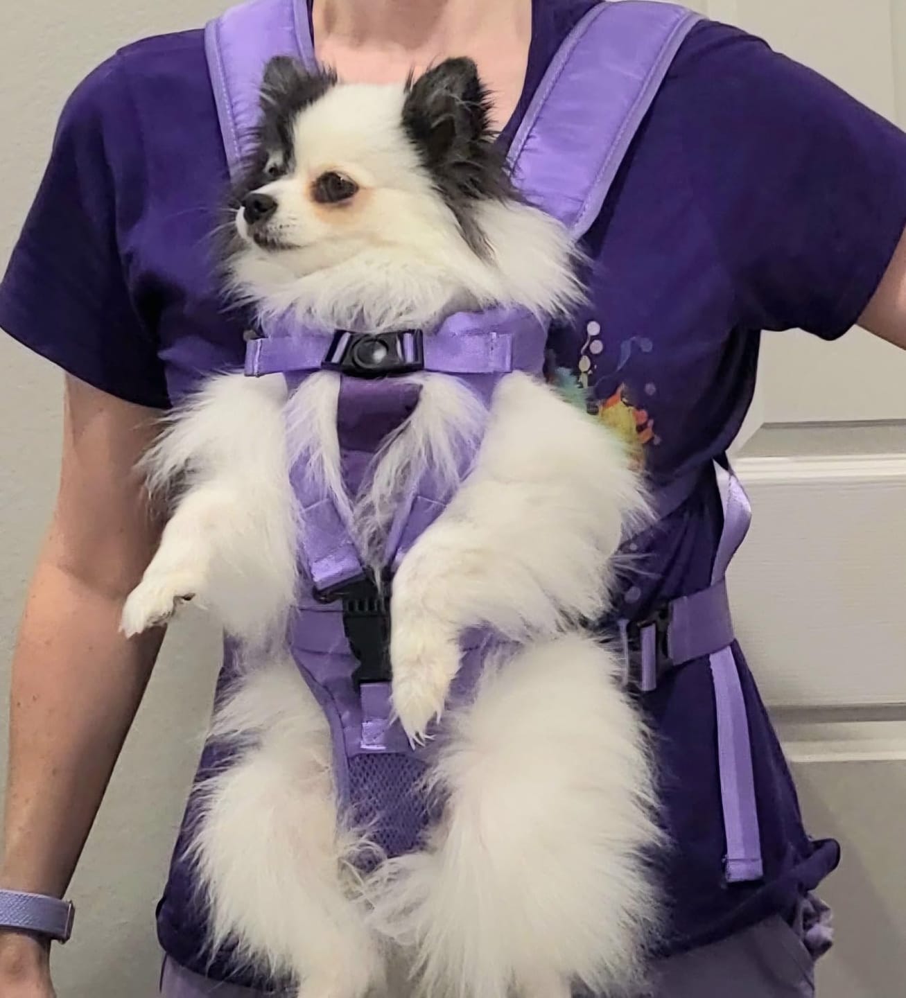 Customer photo review of DOGLEMI Hands-Free Carrier Backpack