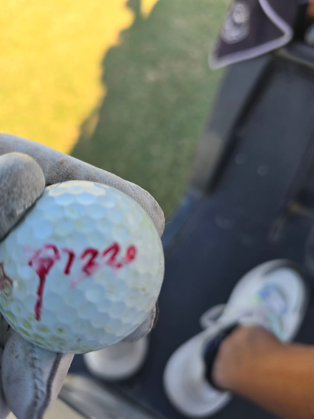 Customer photo review of Golf Ink Markers