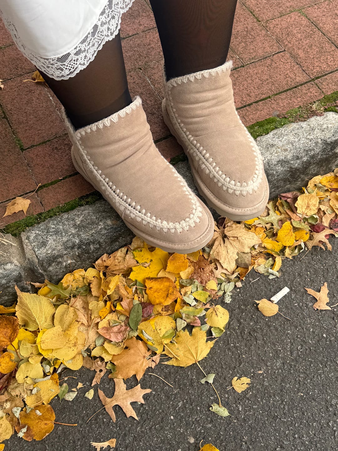 Customer photo review of WINTER MUSHROOM