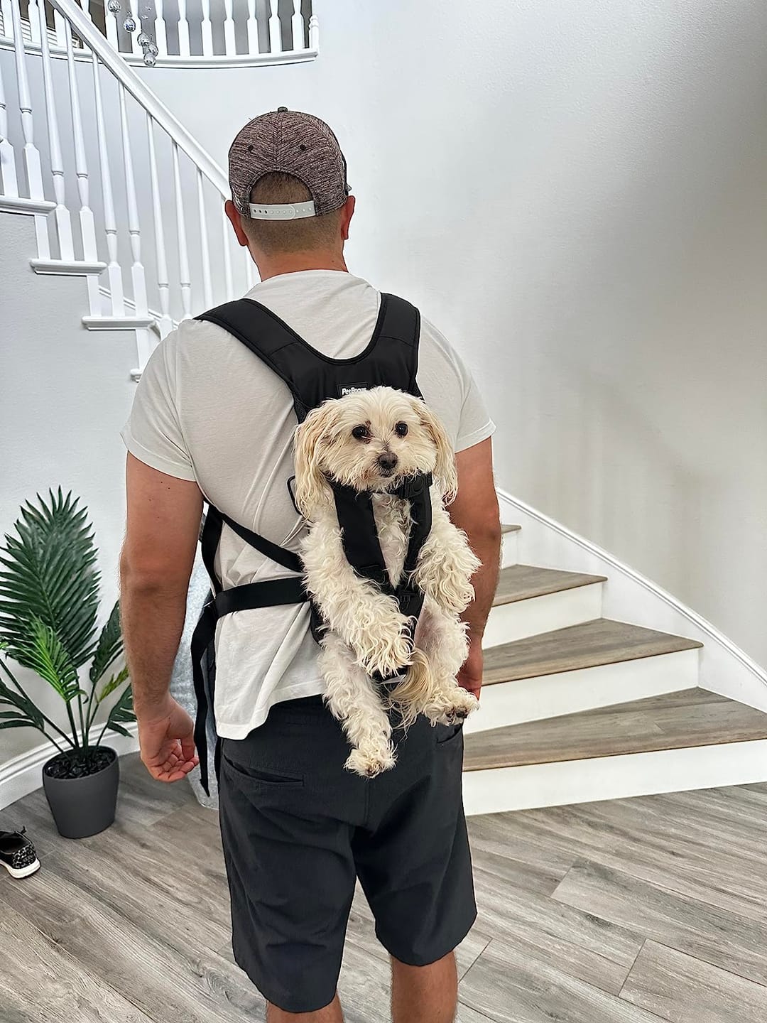 Customer photo review of DOGLEMI Hands-Free Carrier Backpack