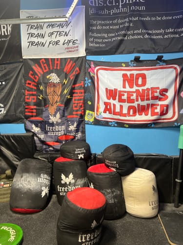 Customer photo review of Strongman Sandbag V3