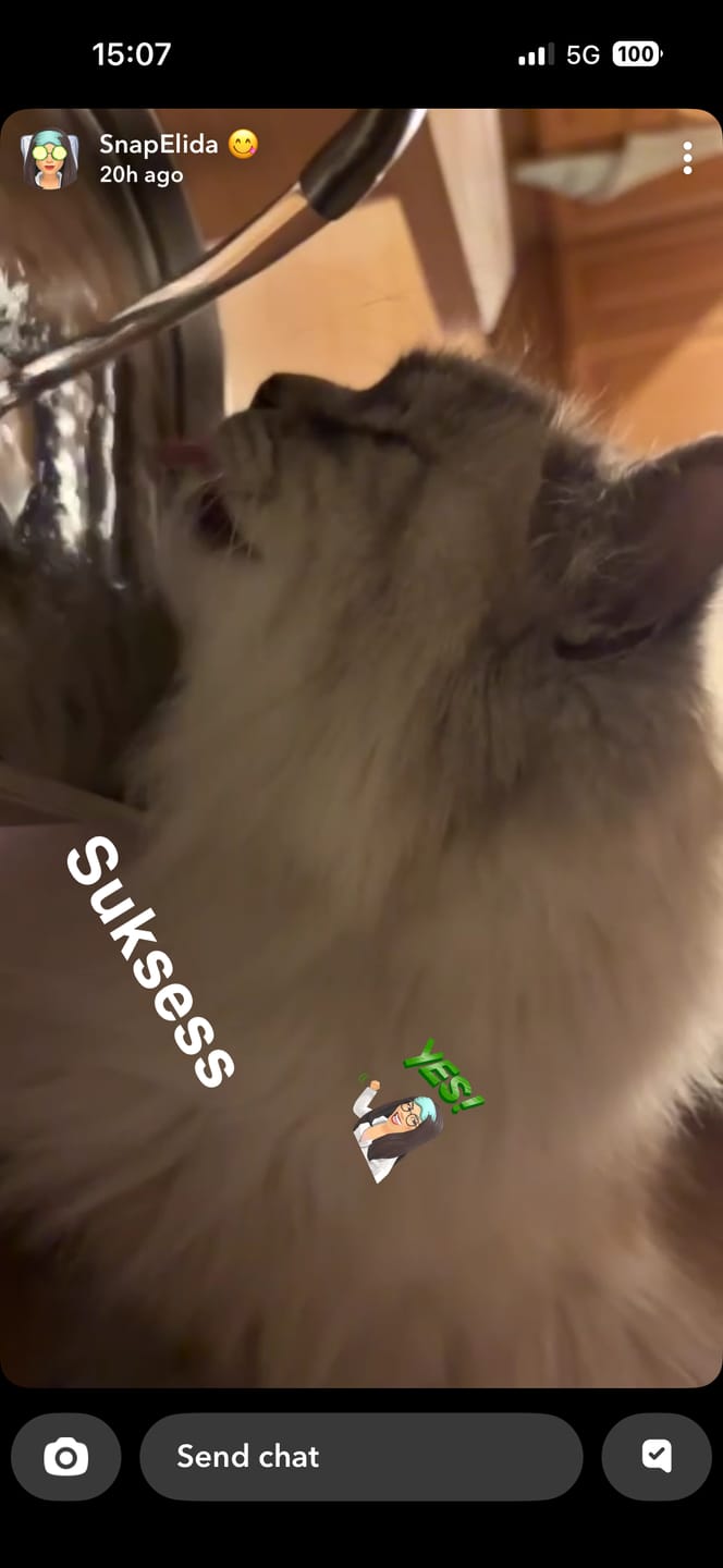 Customer photo review of VitaCat Drikkefontene - 2.2L