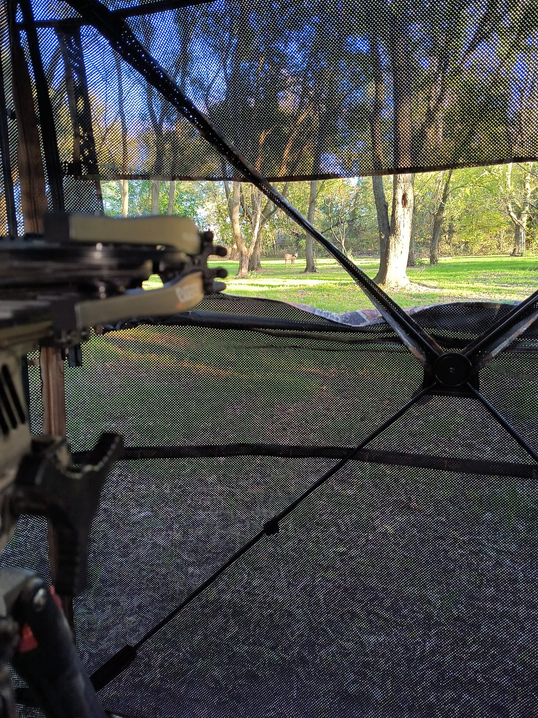 Customer photo review of Vis360 See Through Silent 4 Full Panels Deer Hunting Blind