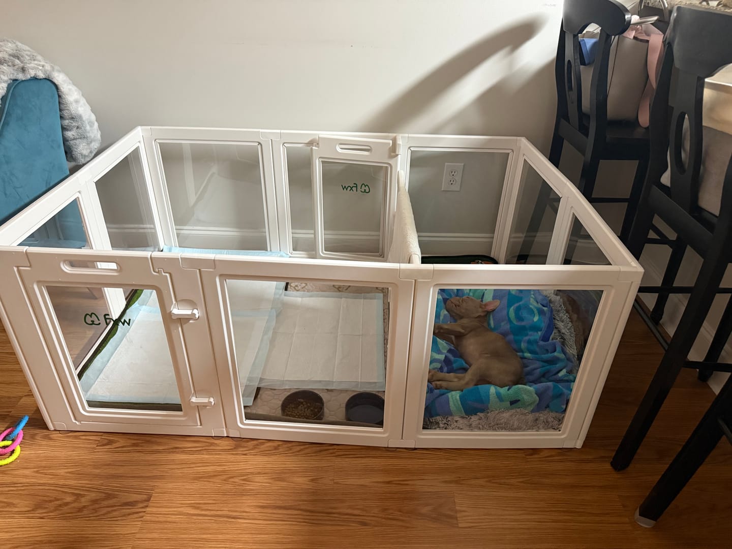 Customer photo review of AuraSpace Acrylic Indoor Dog Playpen for Puppies and Small Dogs