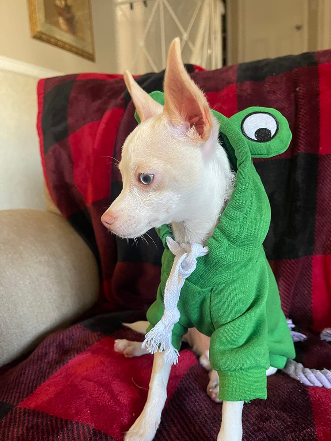 Customer photo review of Frog Hoodie Fleece Sweater