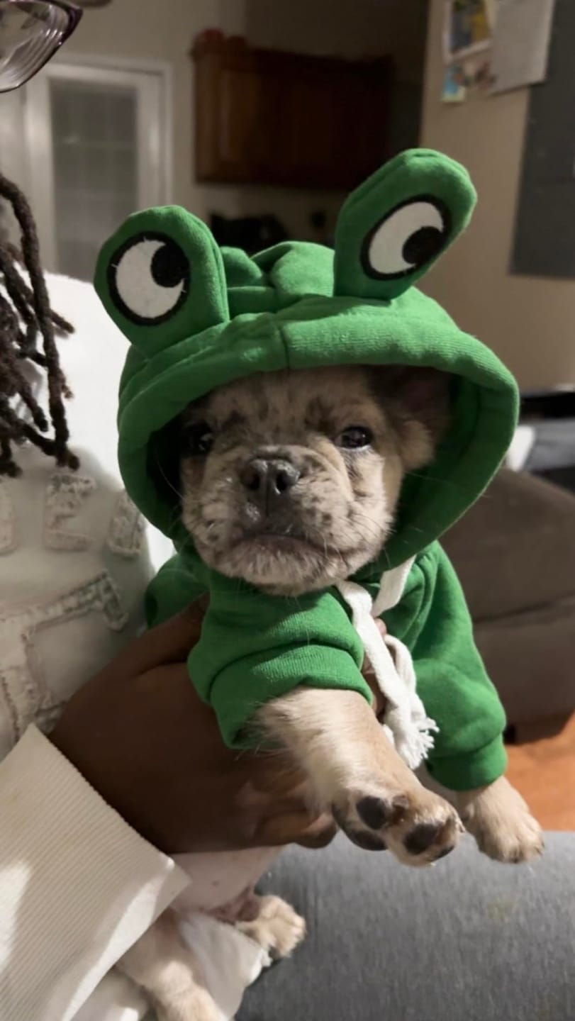 Customer photo review of Frog Hoodie Fleece Sweater
