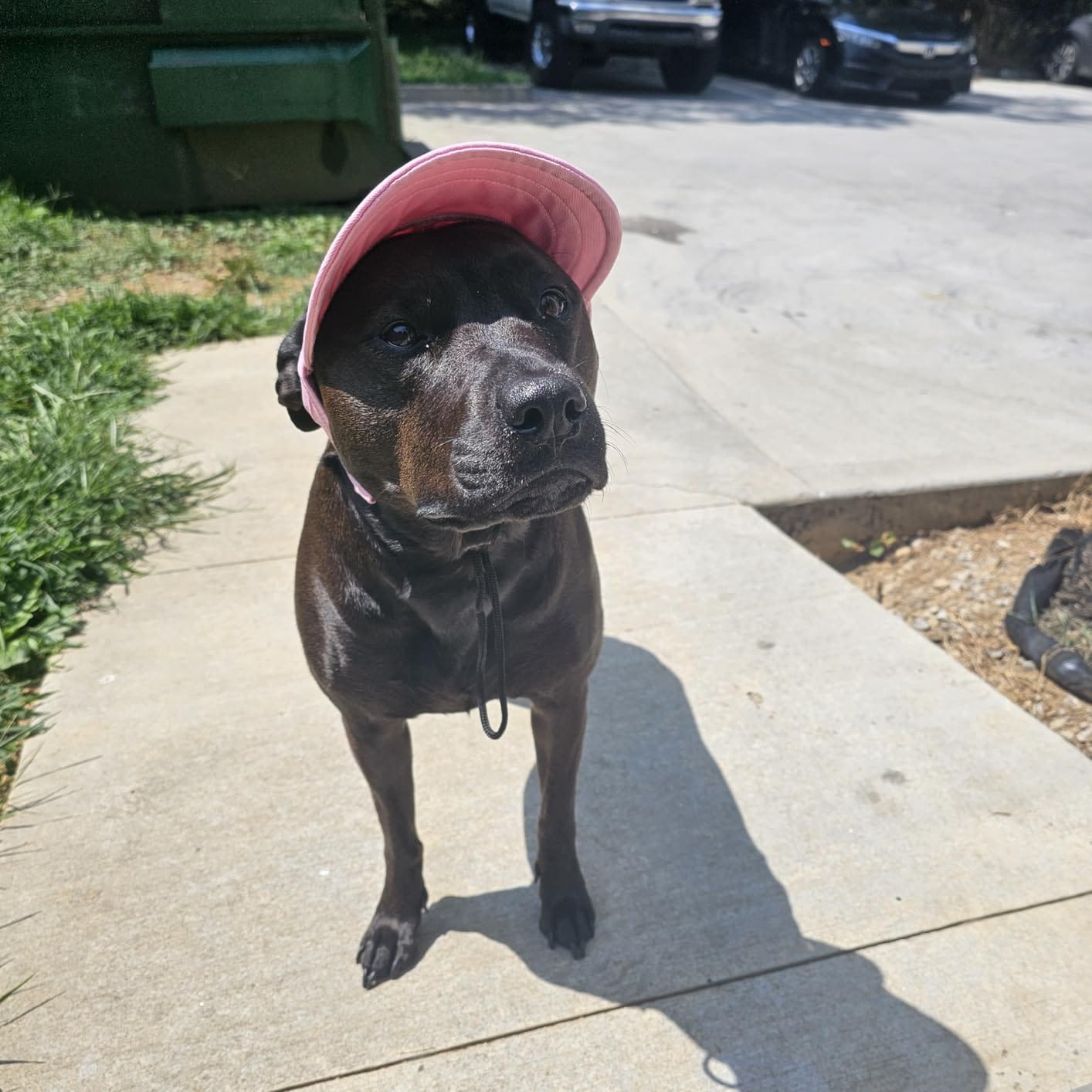 Customer photo review of Baseball Visor Hat