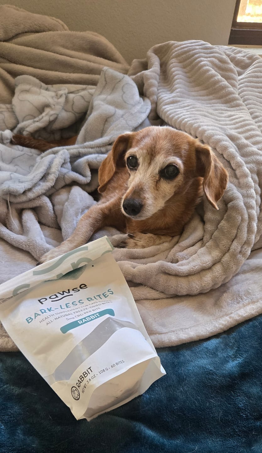 Customer photo review of Bark-Less Bites