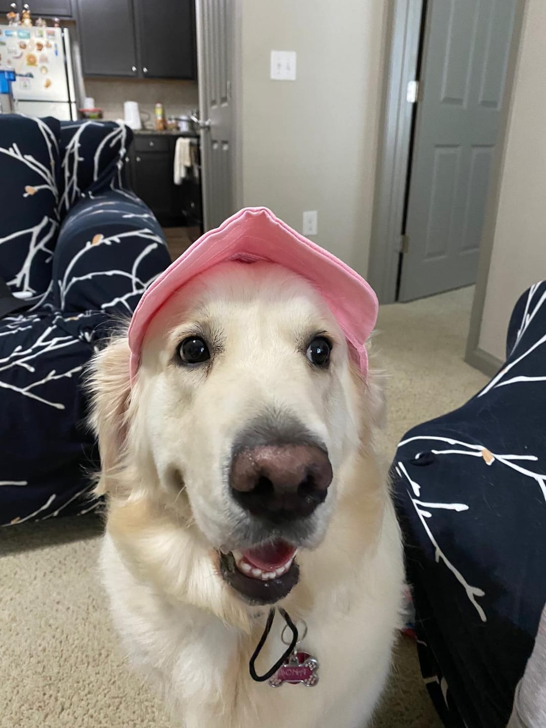 Customer photo review of Baseball Visor Hat