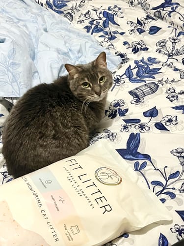 Customer photo review of 3 Month Supply - 2 Cats