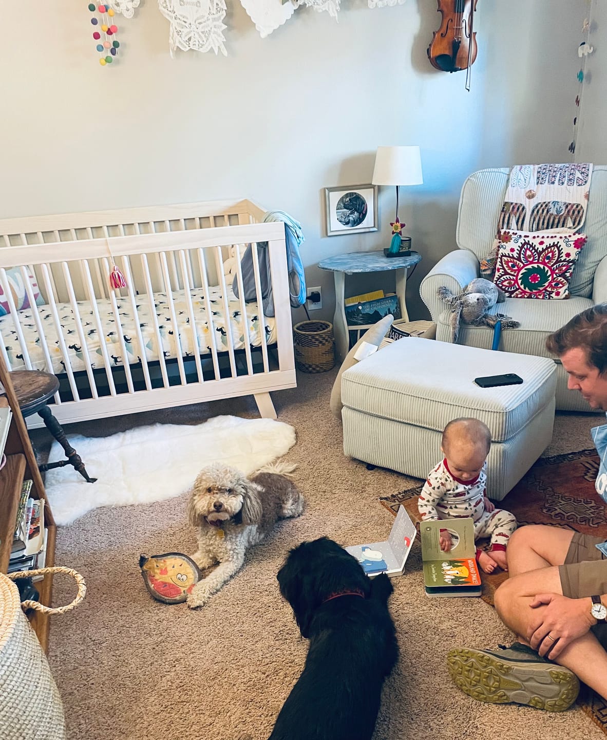 Customer photo review of Sheepskin Rug for Babies, 100% Natural, Shorn Lambskin Wool, 2 x 3 Feet, Ivory