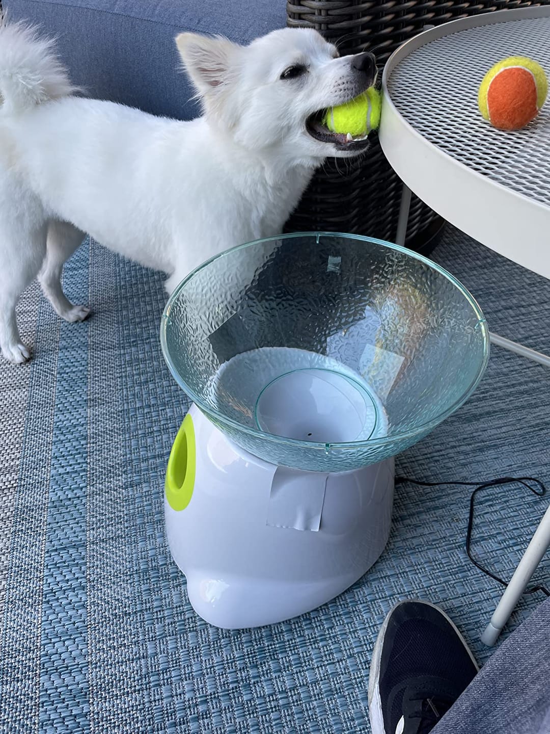 Customer photo review of Automatic Tennis Ball Launcher