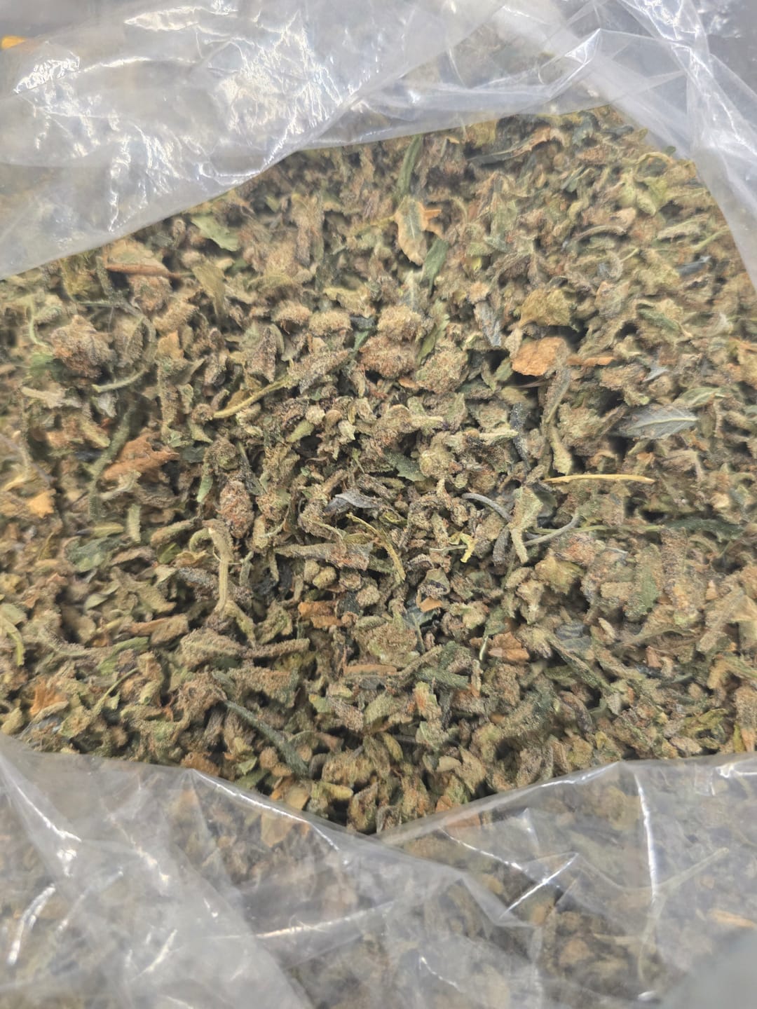 Customer photo review of Sunset Sherbet – Budget THCA Trim