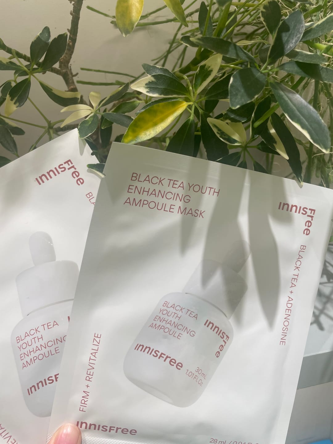 Customer photo review of ブラックティー　ユース　マスクシート
