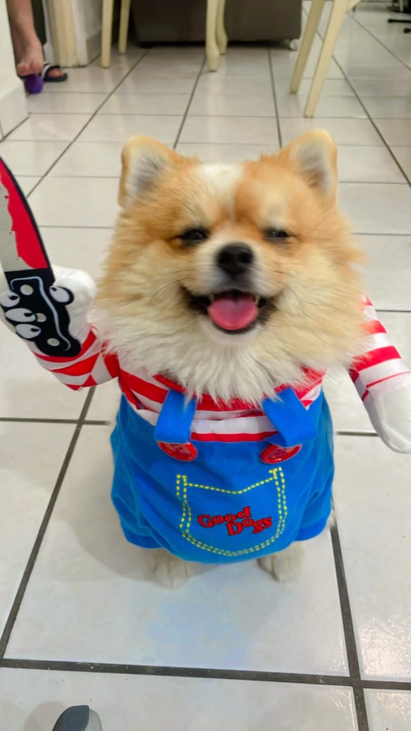 Customer photo review of Overalls with Knife Holder costume