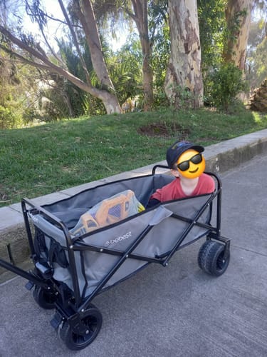 Customer photo review of Carro de arrastre Wagon Gris