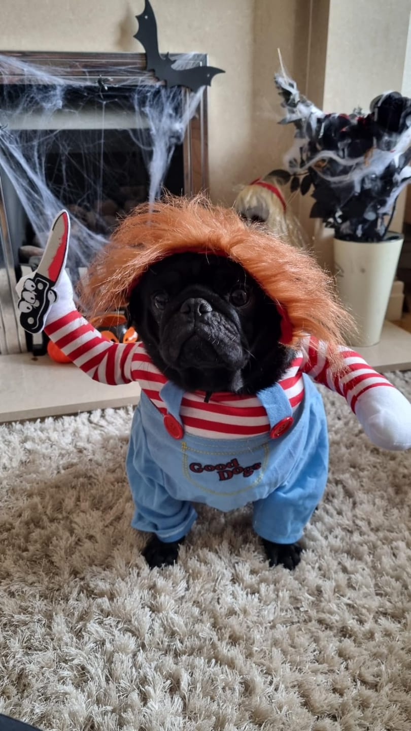 Customer photo review of Overalls with Knife Holder costume