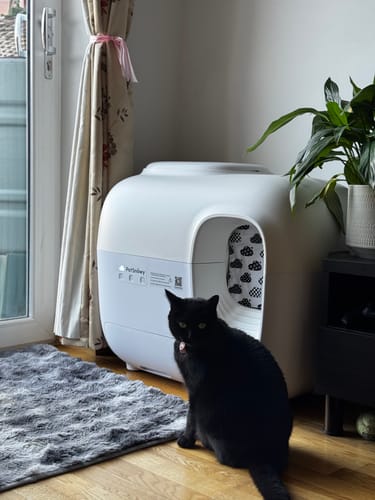 Customer photo review of Self-Cleaning Litter Box