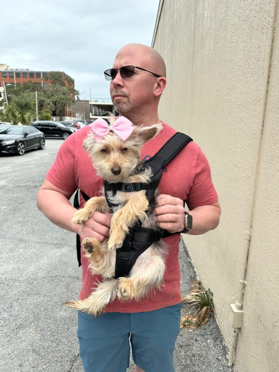 Customer photo review of DOGLEMI Hands-Free Carrier Backpack