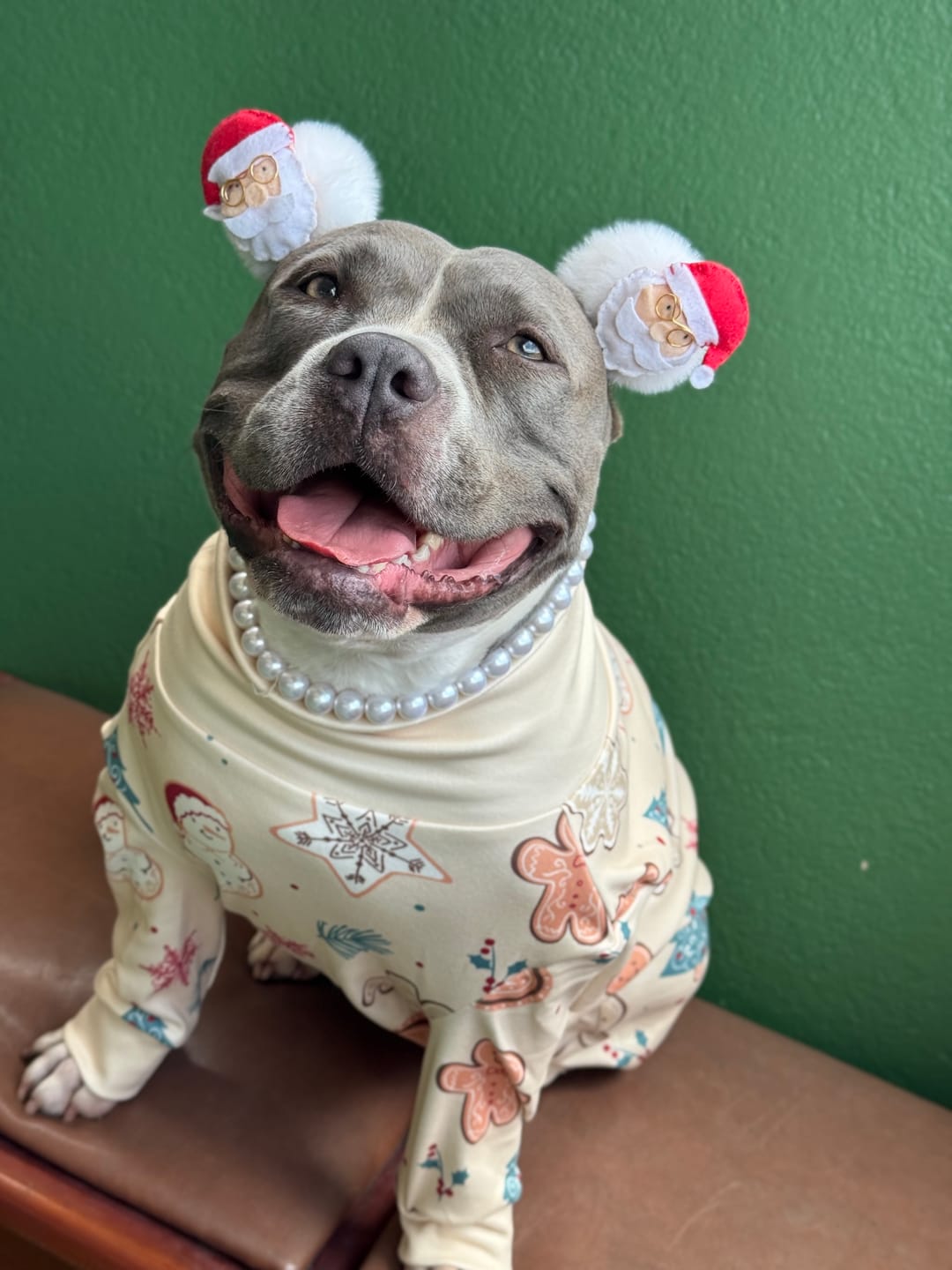Customer photo review of Dog Christmas Pajama - Frosty Night