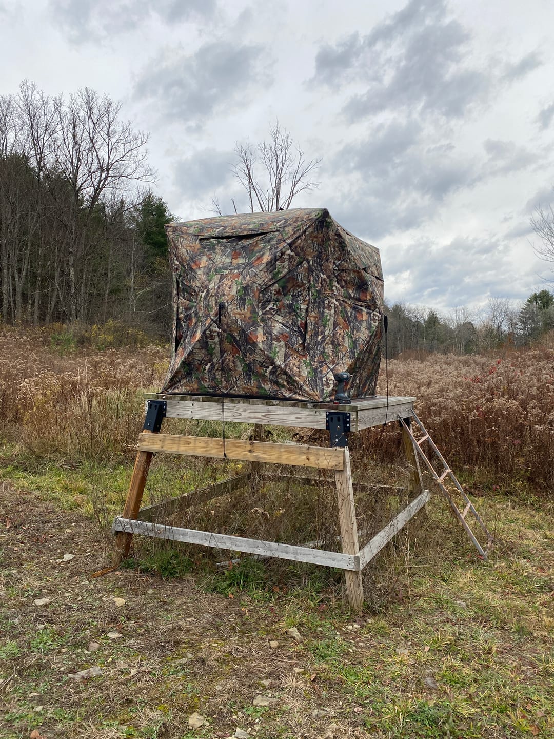 Customer photo review of Tidewe VisST Pop-Up Ground Blinds with See-Through (Silent Magnetic Door)