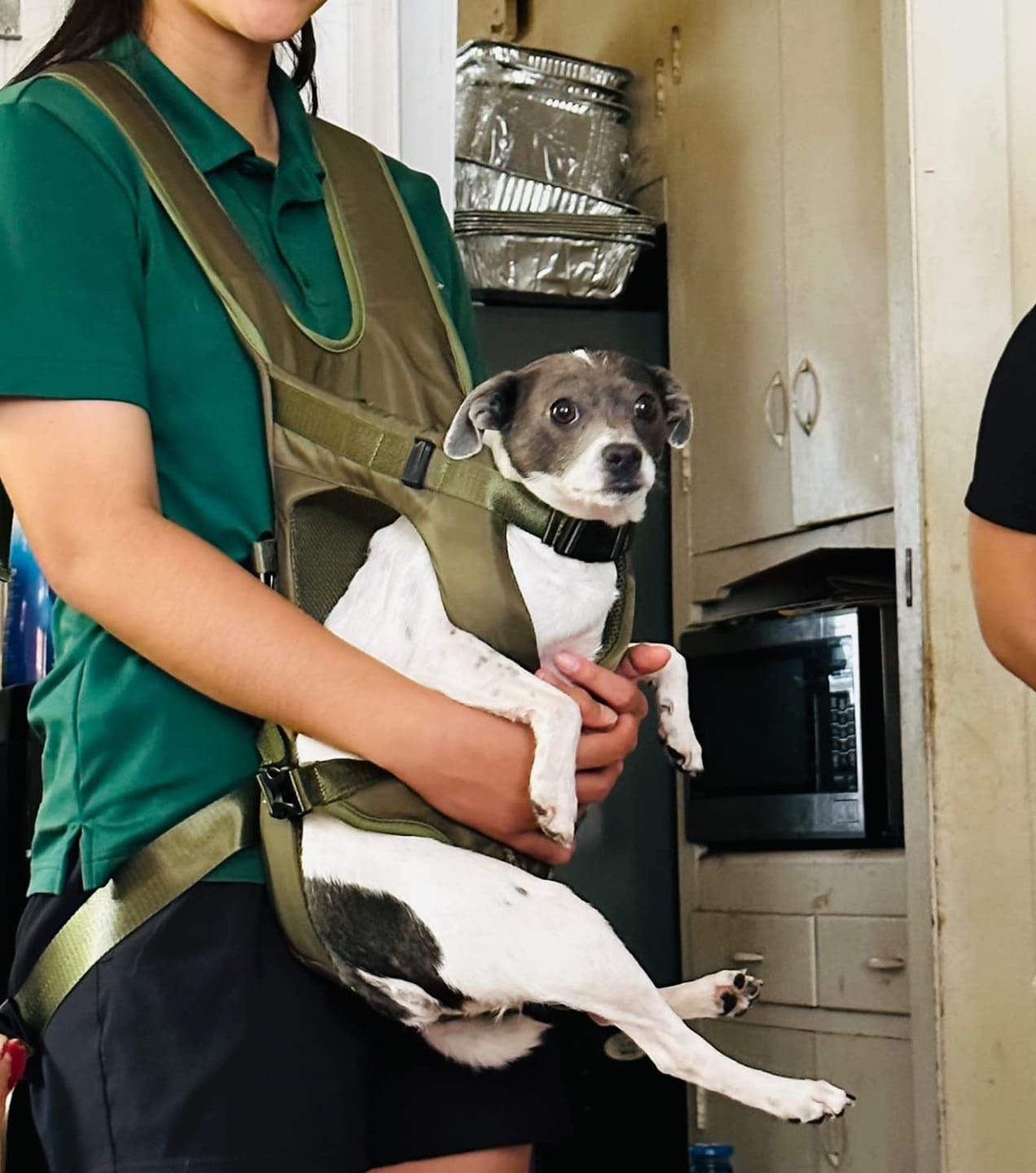 Customer photo review of DOGLEMI Hands-Free Carrier Backpack