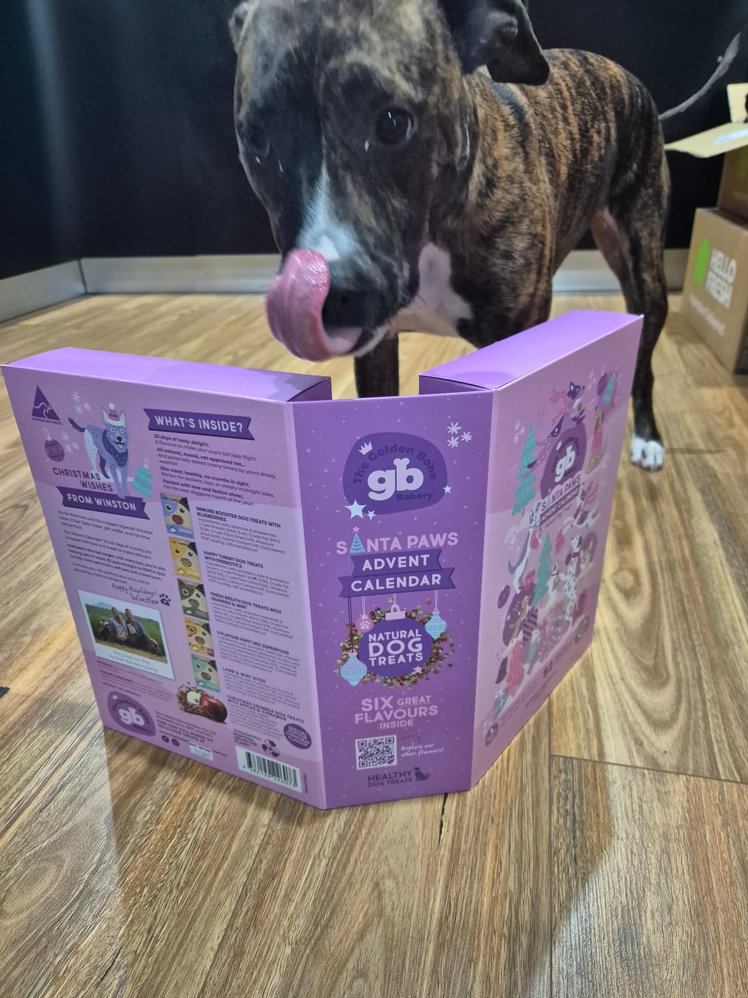 Customer photo review of Christmas Dog Treats Advent Calendar BLUE & PINK