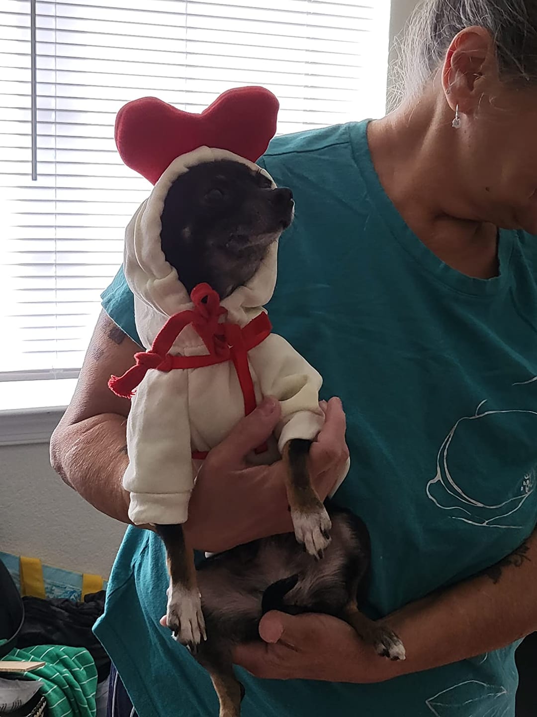 Customer photo review of Frog Hoodie Fleece Sweater