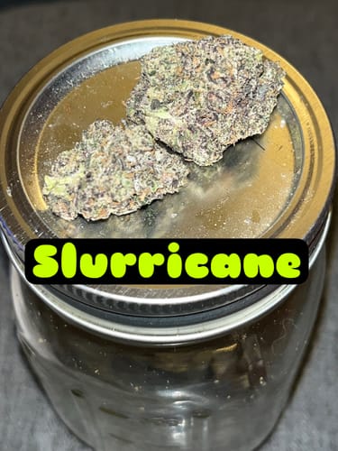 Customer photo review of Slurricane
