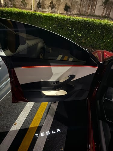 Customer photo review of Door Pocket Insert Trays For Tesla Model 3 Highland 2023-2025