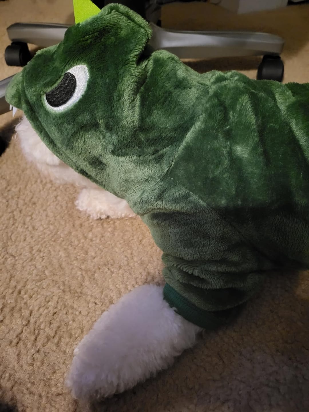 Customer photo review of Dinosaur Bodysuit costume