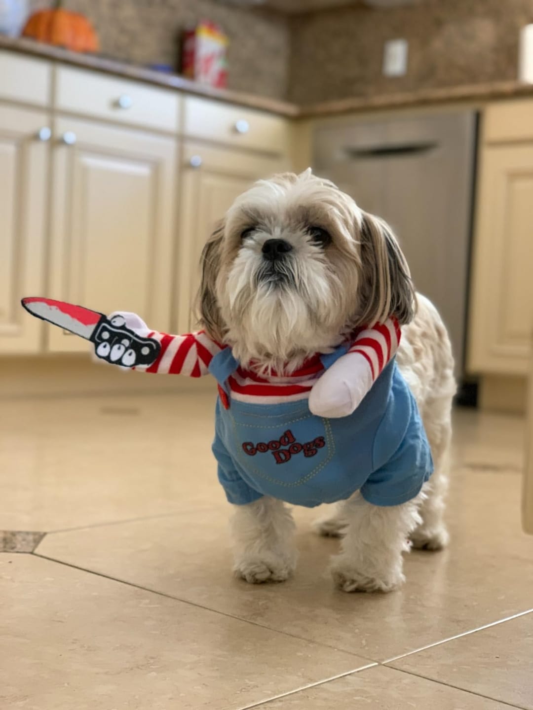Customer photo review of Overalls with Knife Holder costume