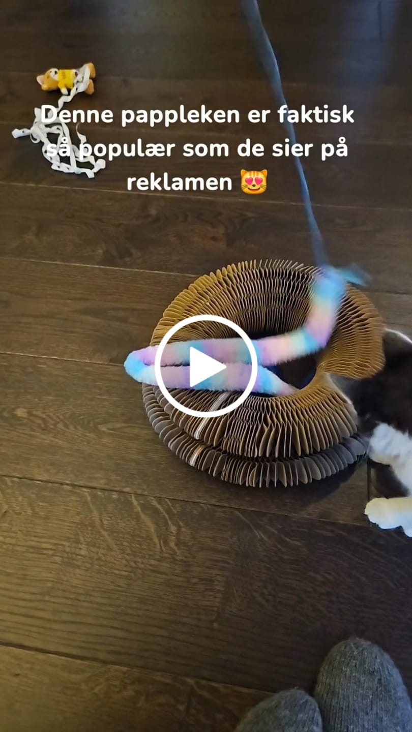 Customer video review of Magisk klorebrett til katt - reduserer kjedsomhet