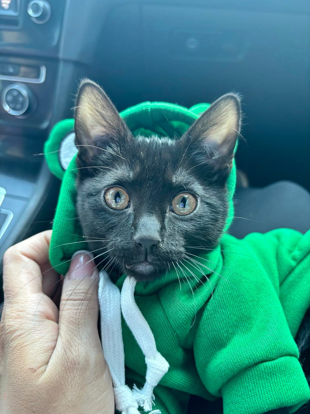 Customer photo review of Frog Hoodie Fleece Sweater