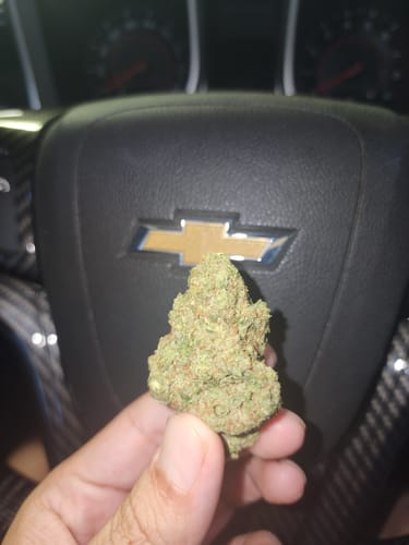 Customer photo review of FREE SAMPLE (with code) THCa Flower