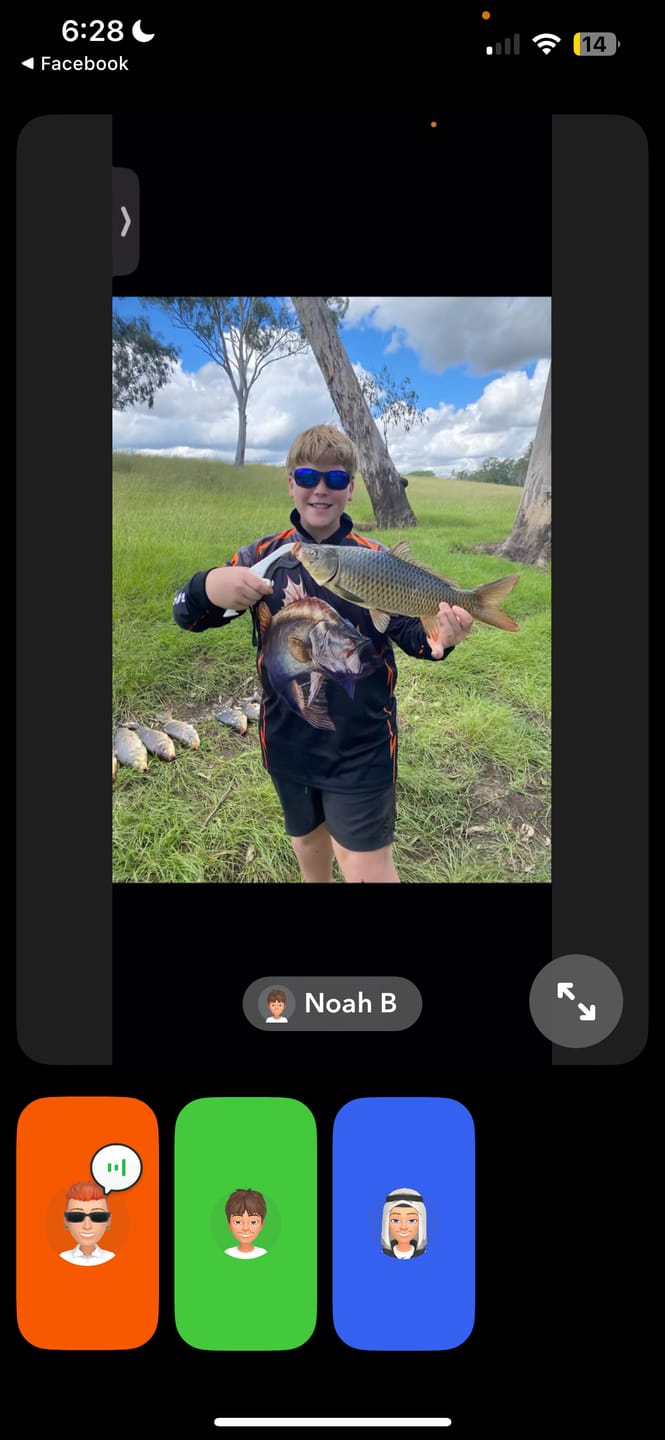 Customer photo review of DEATH SHAD