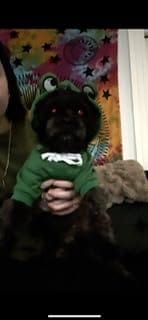 Customer photo review of Frog Hoodie Fleece Sweater