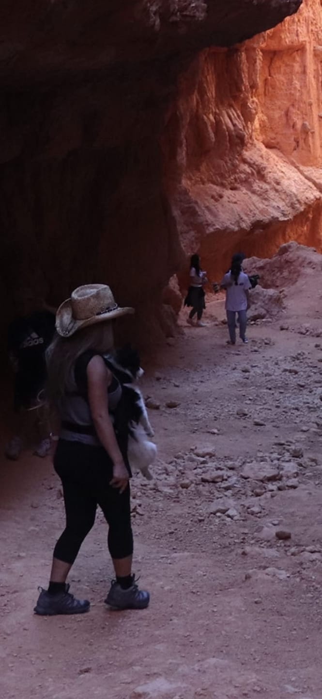 Customer photo review of DOGLEMI Hands-Free Carrier Backpack