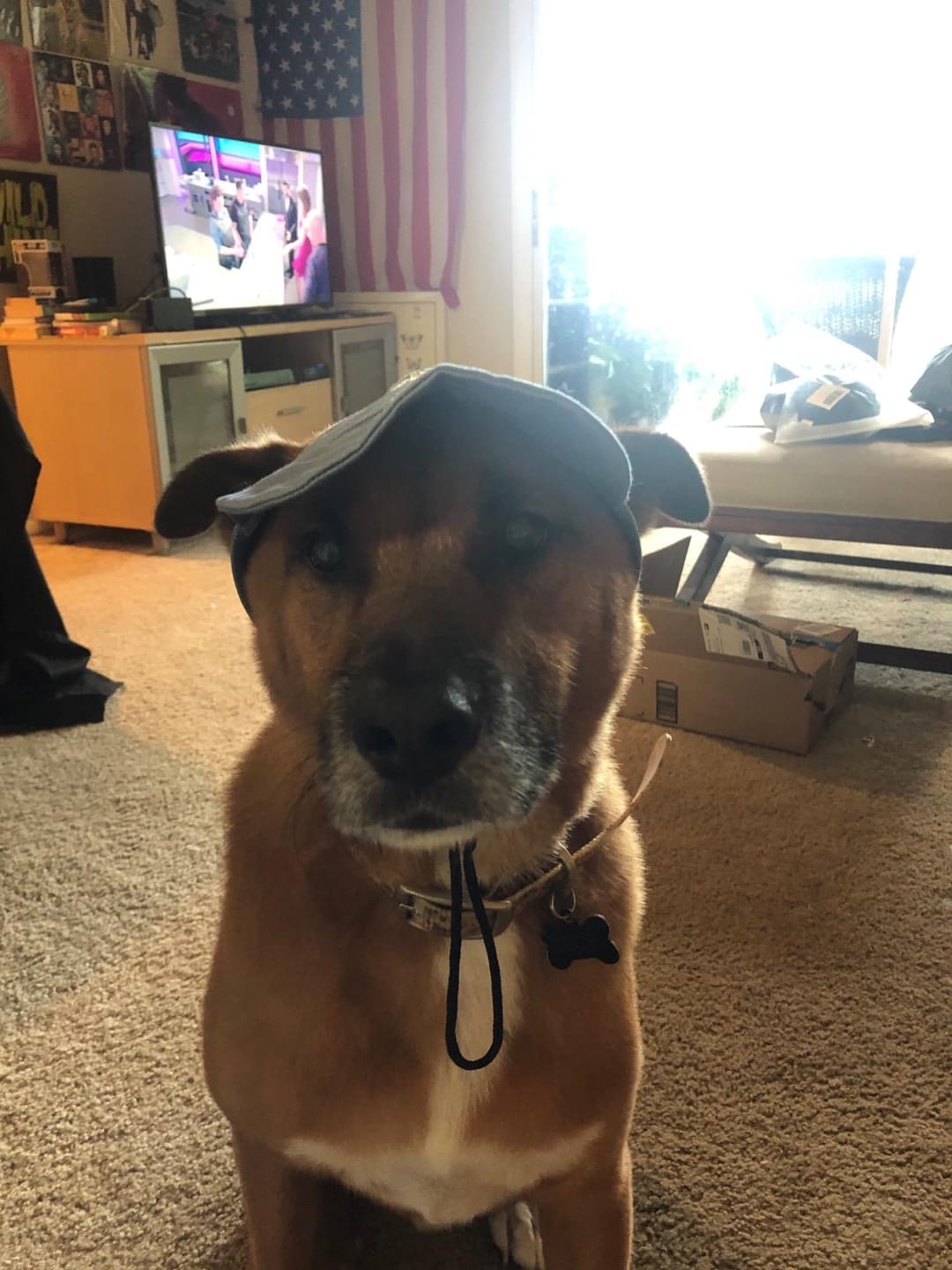 Customer photo review of Baseball Visor Hat