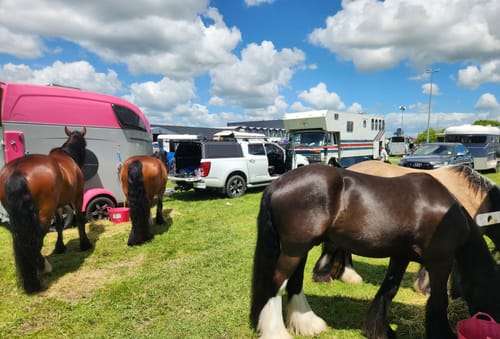 Customer photo review of Champion Pepi Spray