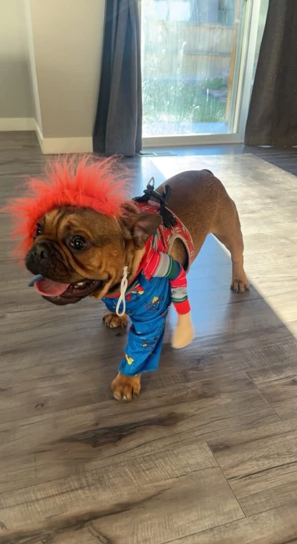 Customer photo review of Overalls with Knife Holder costume