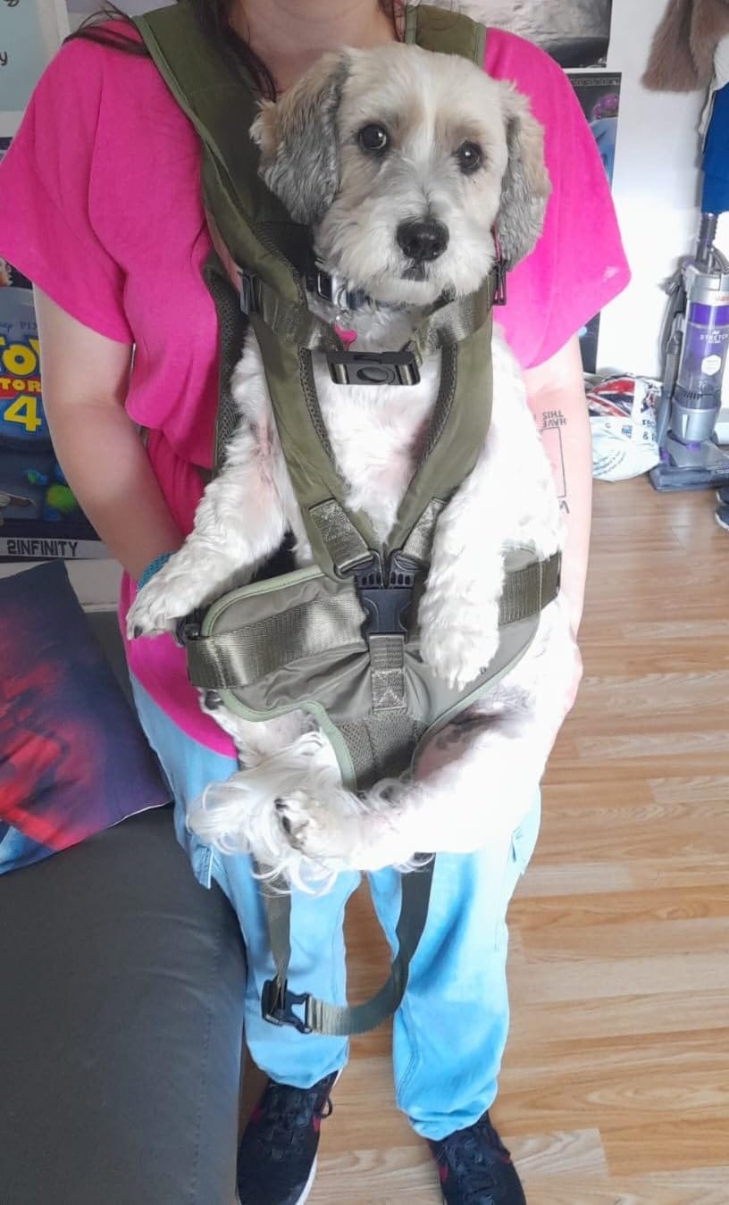 Customer photo review of DOGLEMI Hands-Free Carrier Backpack
