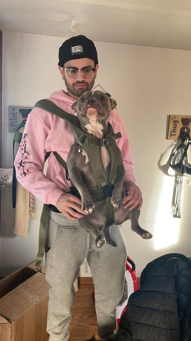 Customer photo review of DOGLEMI Hands-Free Carrier Backpack