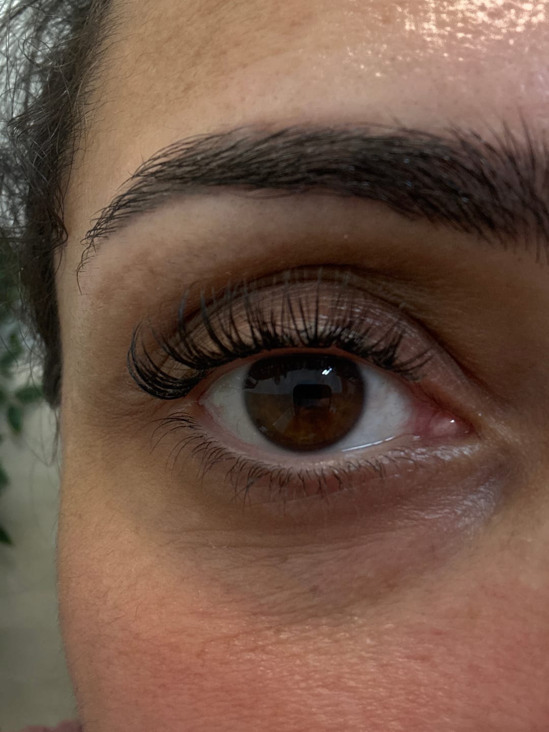 Customer photo review of THE CANCER (Krebs 5-11 mm)