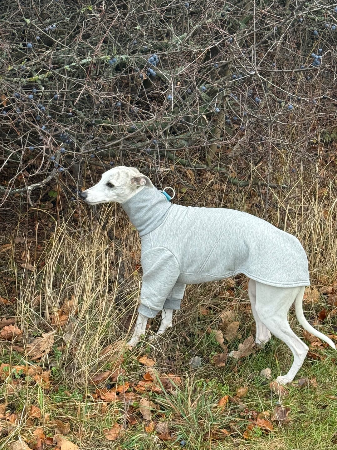 Customer photo review of Aspen "Frosty Grey"