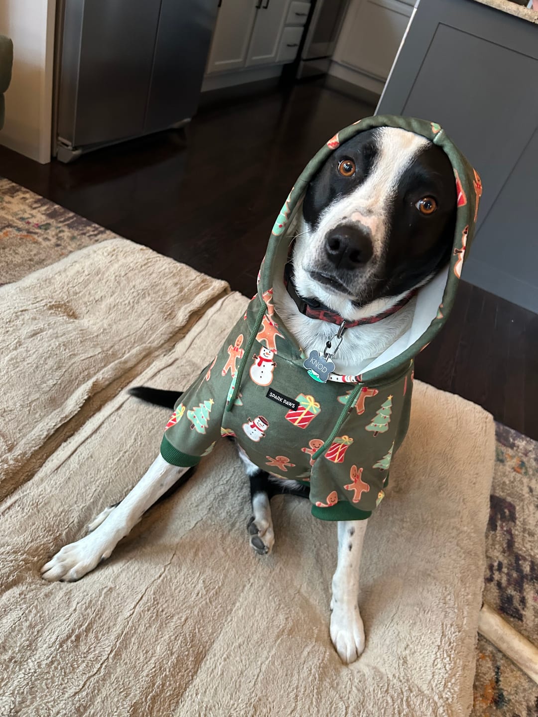 Customer photo review of Christmas Dog Hoodies