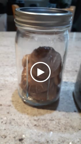 Sheila B. review of Mason Genie® Vacuum Sealer Kit image 1 out of 1