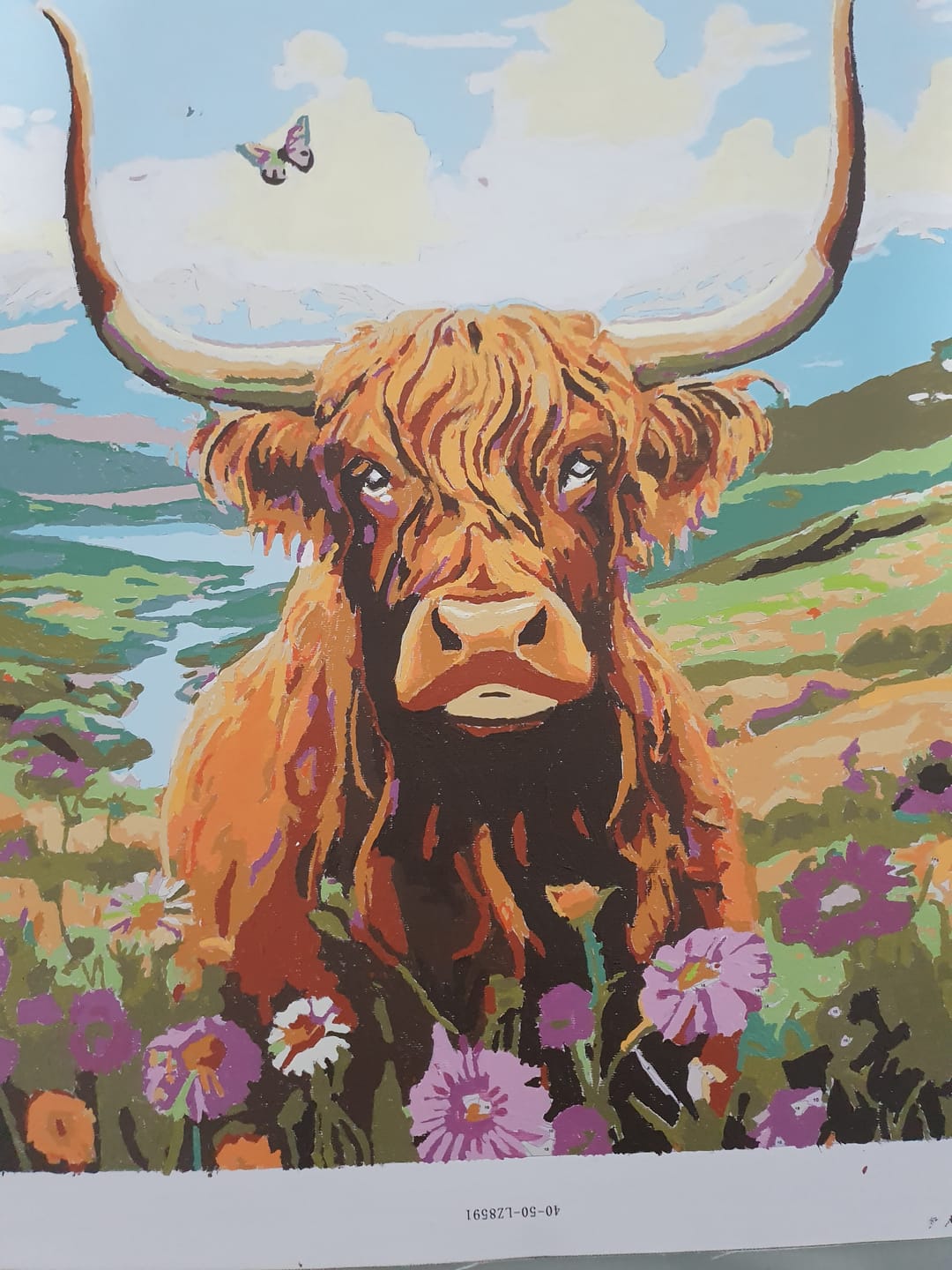 Customer photo review of Highlands Cow
