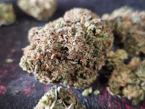 Customer photo review of Cheap THCA Flower Ounce